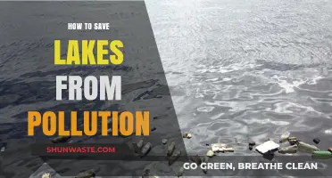 Protecting Lakes: Strategies to Combat Water Pollution