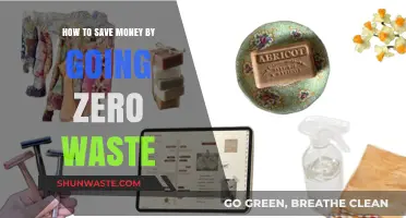 Sustainable Savings: How Zero Waste Living Cuts Costs and Clutter
