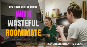 Cut Utility Costs: Strategies to Save Despite a Wasteful Roommate