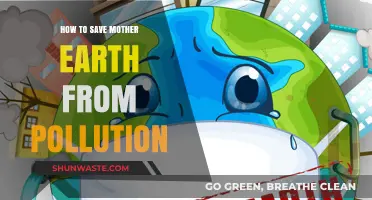 Protecting Mother Earth: Reducing Pollution's Impact