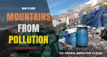 Protecting Mountains: Stopping Pollution at its Source