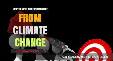 Sustainable Steps: Protecting Our Planet from Climate Change Threats