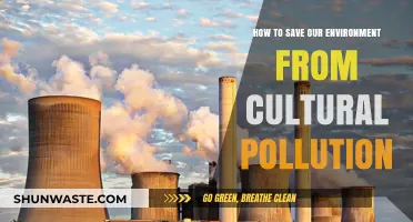 Preserving Nature: Combating Cultural Pollution