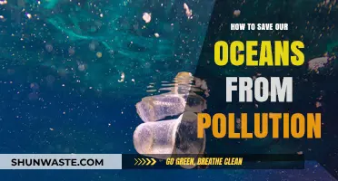 Protecting Our Oceans: Reducing Pollution's Impact