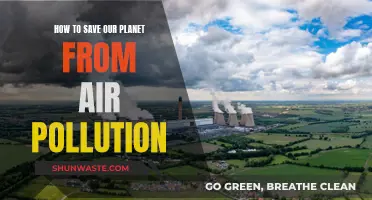 Air Pollution: Saving Our Planet, Saving Ourselves