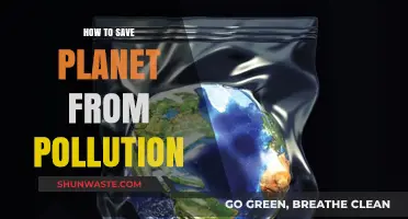 Saving Our Planet: Reducing Pollution's Impact
