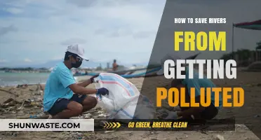 Protecting Rivers: Preventing Pollution for a Sustainable Future