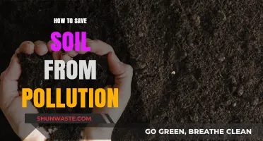 Protecting Soil: Preventing Pollution and Preserving Nature