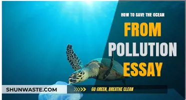 Protecting Our Oceans: Stopping the Pollution