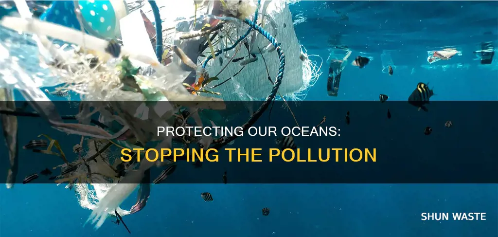 how to save the ocean from pollution essay
