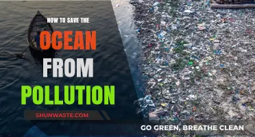 Protecting Our Ocean: Solutions to Pollution