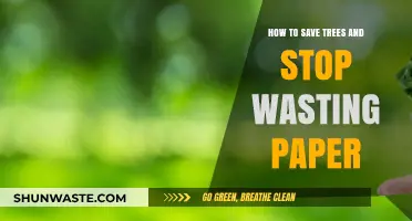 Save Trees, Cut Waste: Practical Tips to Reduce Paper Usage