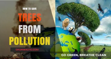 Protecting Trees: Strategies Against Pollution