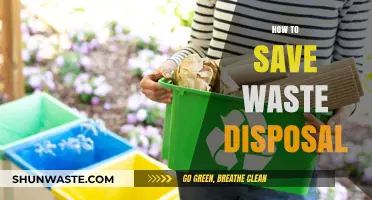 Eco-Friendly Waste Management: Tips to Reduce Your Environmental Impact
