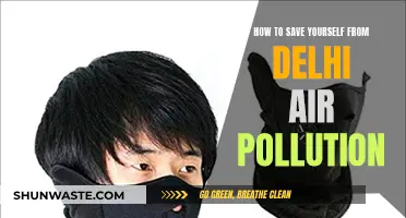 Breathe Easy: Survival Guide for Delhi's Air Pollution