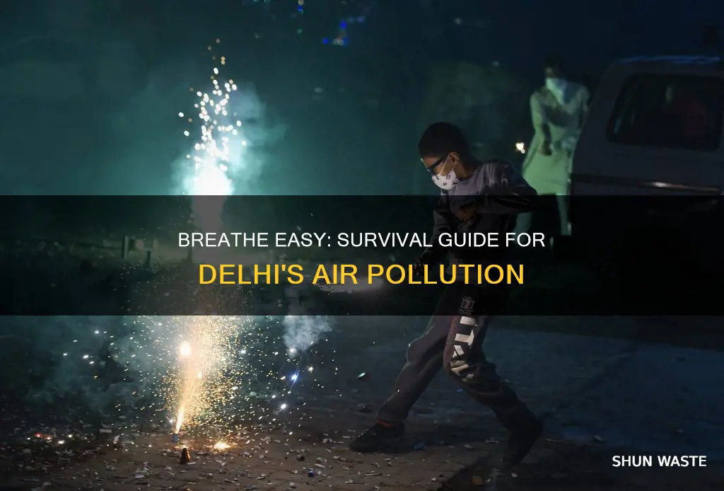 how to save yourself from delhi air pollution