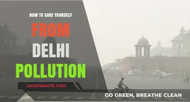 Breathe Easy: Protecting Yourself from Delhi's Pollution