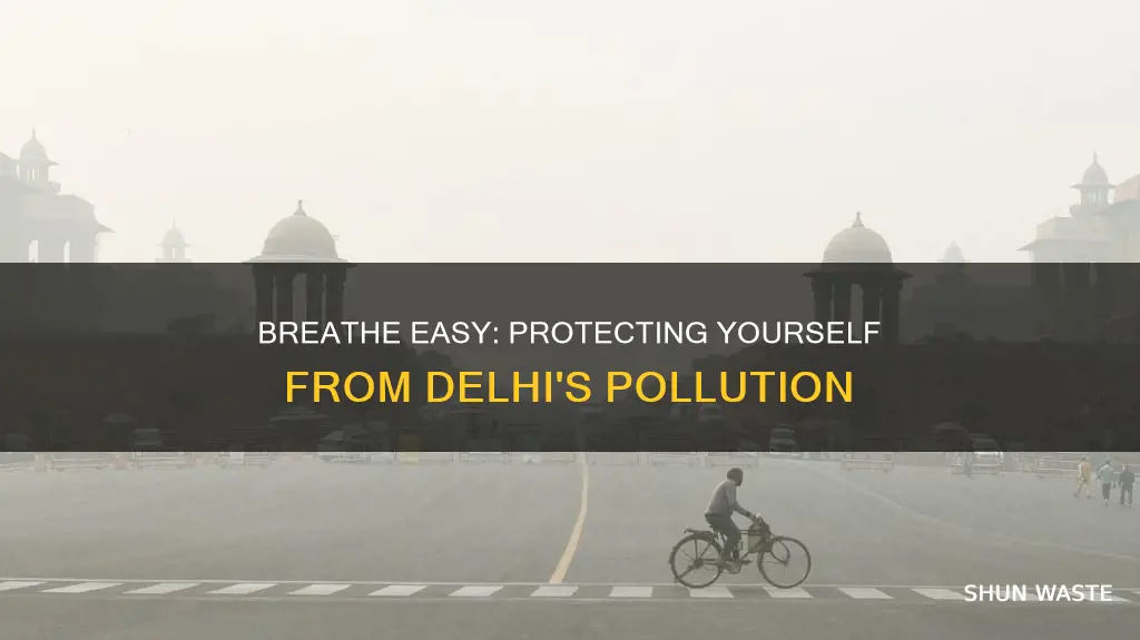 how to save yourself from delhi pollution