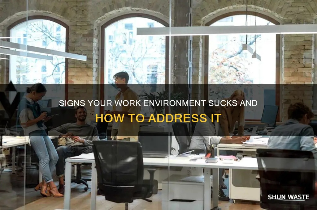 how to say a work environment sucks