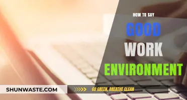 Creating a Positive Workplace: How to Say 'Good Work Environment