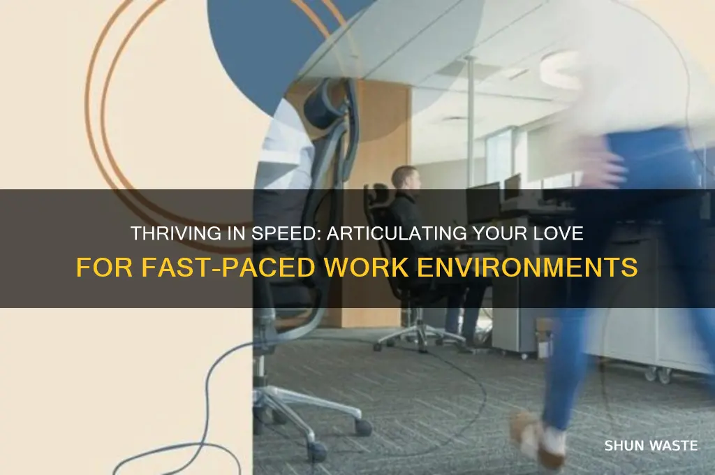 how to say likes working in a fast paced environment