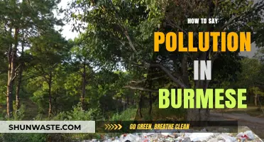 Pollution in Burmese: Understanding the Environmental Crisis