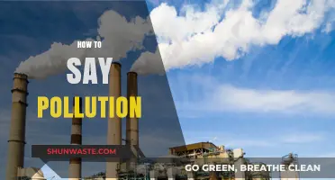 Understanding Pollution: How to Say It Right