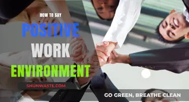 Fostering Positivity: Creating a Thriving and Supportive Work Environment