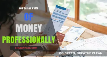 Strategic Spending: Articulating Financial Missteps with Professional Precision