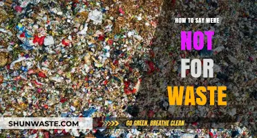 Minimizing Waste: Effective Ways to Say 'We're Not for Waste