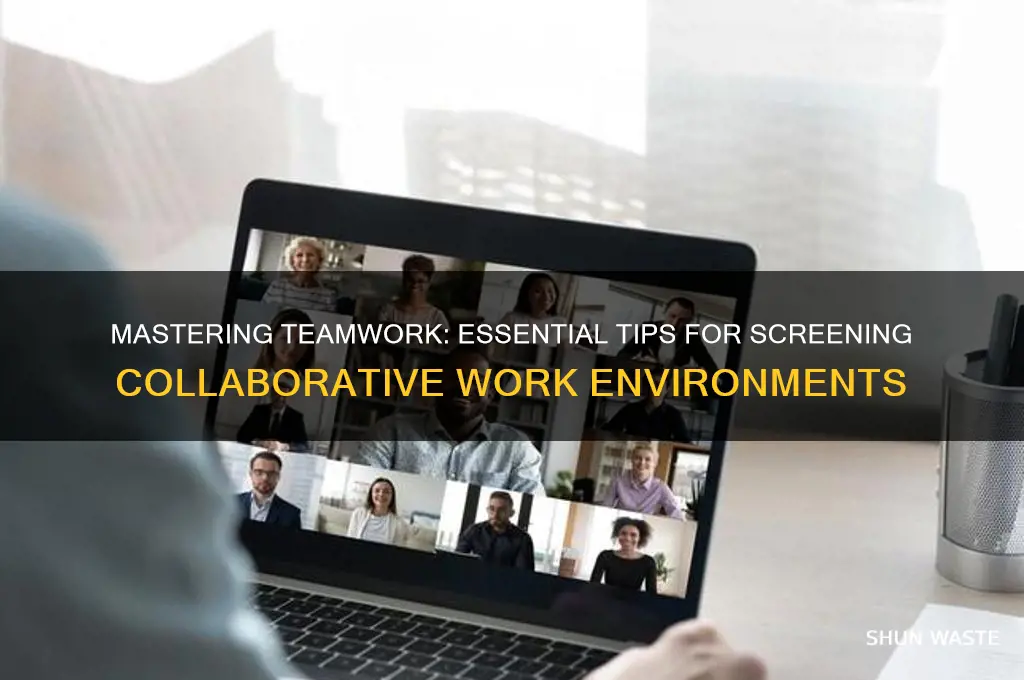how to screen on working in a team environment