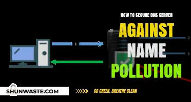 Protecting DNS Servers: Preventing Name Pollution