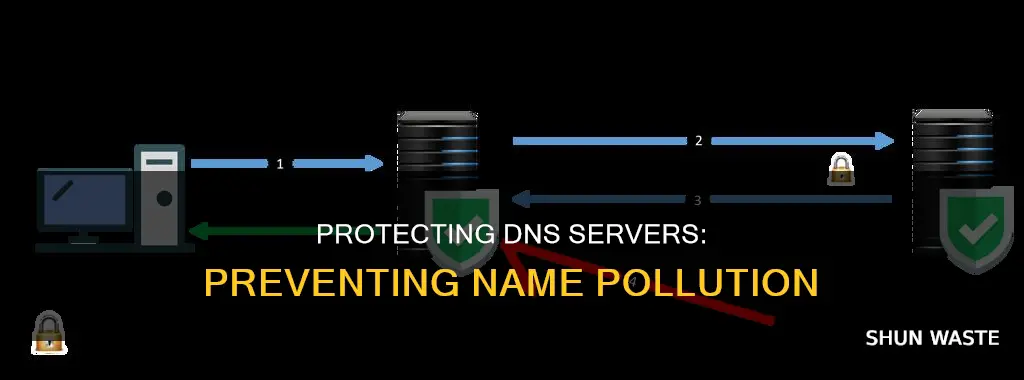 how to secure dns server against name pollution