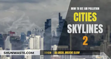 Air Pollution in Cities: A Skylines View