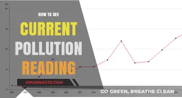 Real-Time Pollution Data: Access and Understand Current Readings