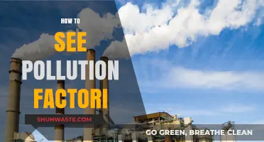 Pollution Watch: Spotting the Culprits in Your Area