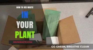 Identifying and Eliminating Waste in Your Plant: A Practical Guide