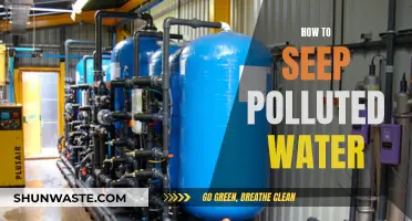 Purifying Polluted Water: Effective Methods for a Clean Supply