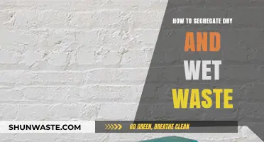 Mastering Waste Segregation: Simple Steps to Separate Dry and Wet Waste