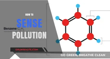 Detecting Pollution: Sensing the Invisible