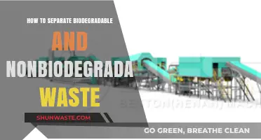 Eco-Friendly Waste Management: Sorting Biodegradable and Non-Biodegradable Trash