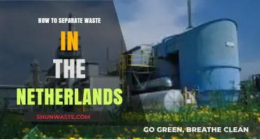 Mastering Dutch Waste Separation: A Simple Guide for Residents