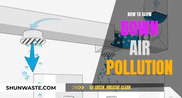 Slowing Air Pollution: Strategies for a Greener Tomorrow