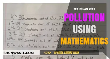 Maths: Pollution's Solution?