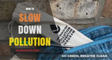 Combating Pollution: Strategies to Slow Environmental Degradation