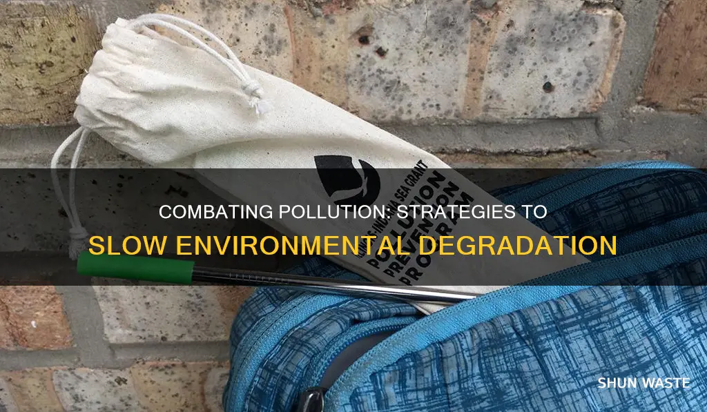 how to slow down pollution