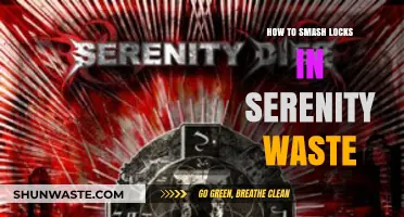 Mastering Lock Smashing in Serenity Waste: Essential Tips and Tricks
