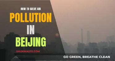 Solving Beijing's Air Pollution Crisis: Strategies for Change