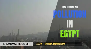 Egypt's Air Pollution: Strategies for a Cleaner Future