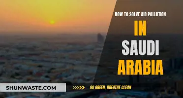 Solving Air Pollution: Saudi Arabia's Clean Air Strategies